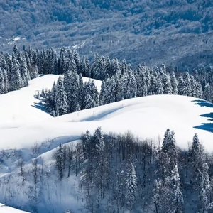 男人和女人真曰批
